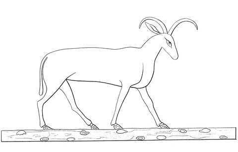 Ancient Egyptian Goat Coloring Page